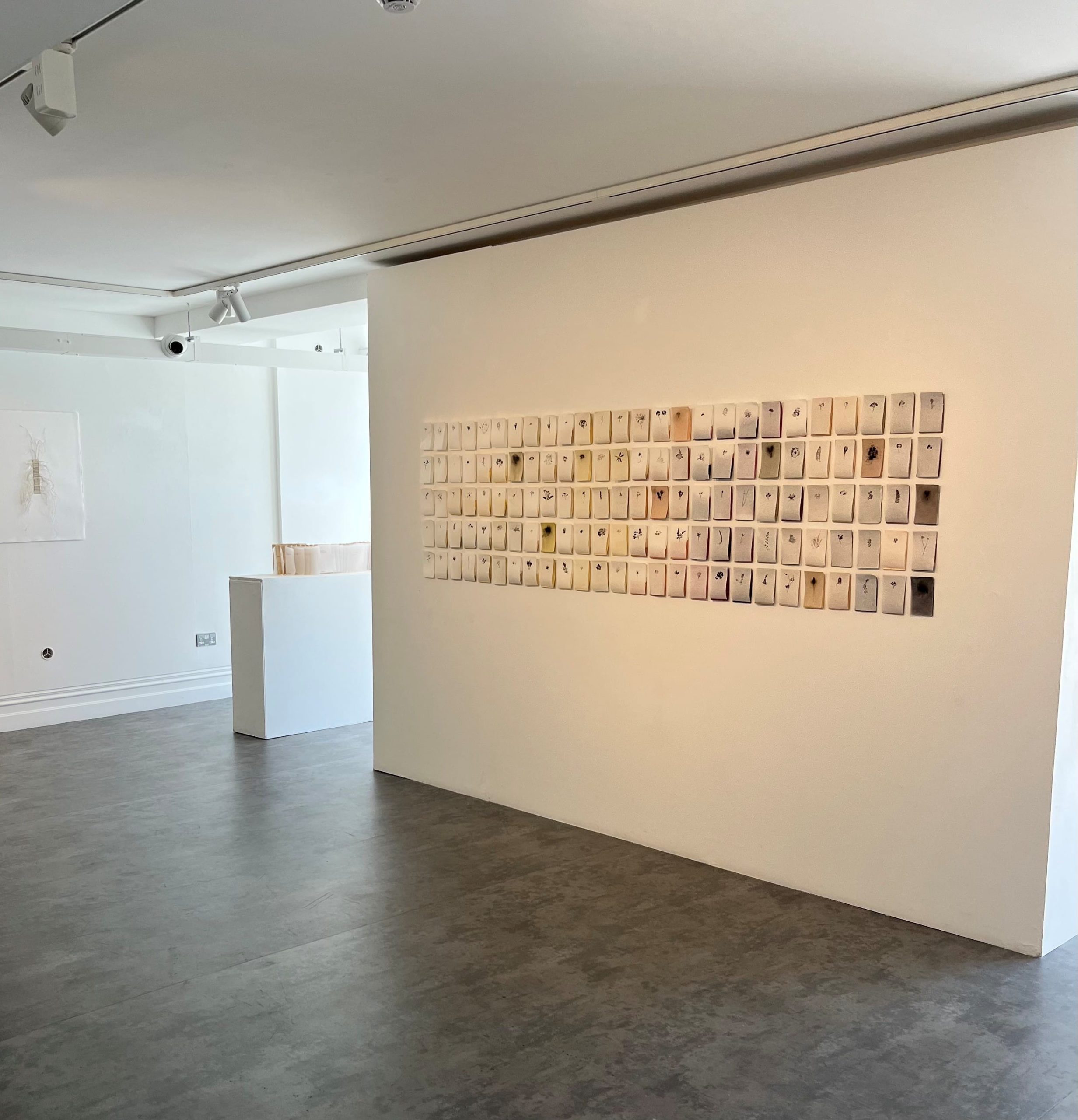 Attention, a multiple piece by Patsy Atkinson